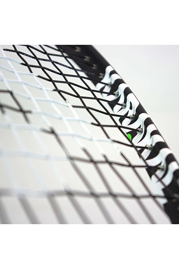 Raw Pro Lite 2.1 - 7