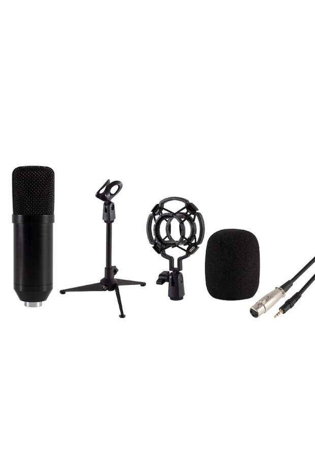 Microfon de studio M 12 - 2