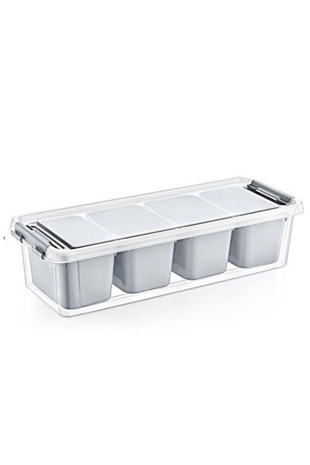 4 Compartment Deep Grand Organizer