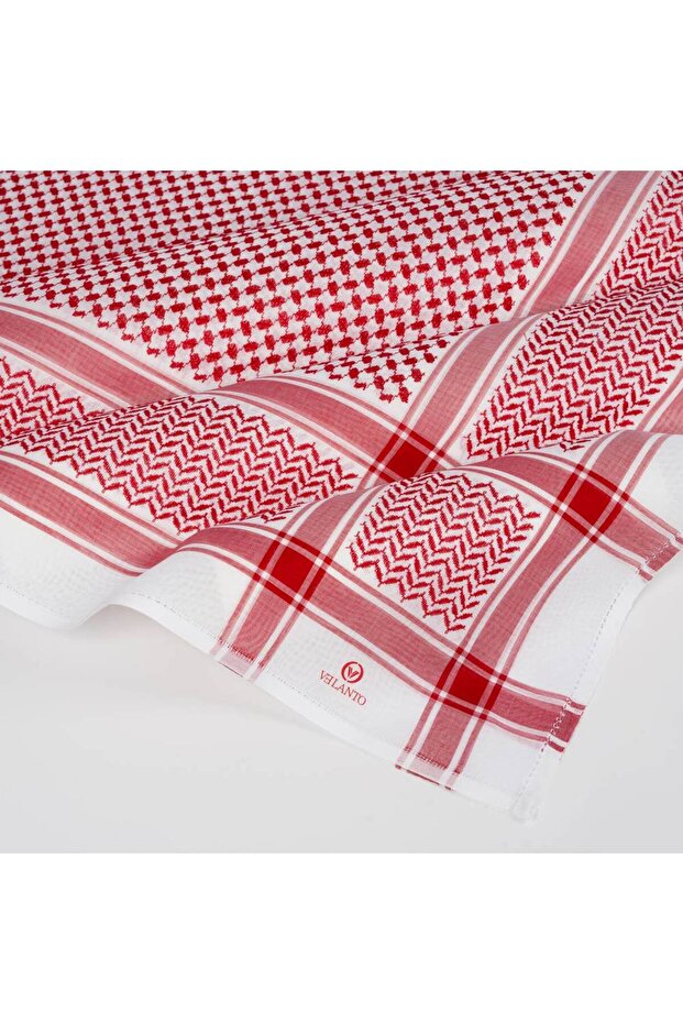 شملغ فيلنتو - 4