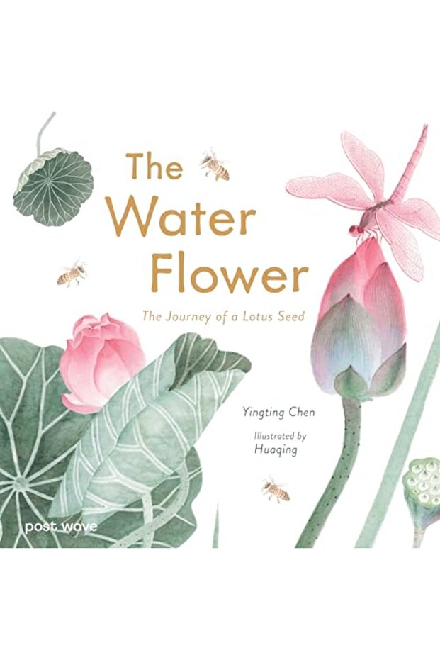 The Water Flower: The Journey of a Lotus Seed