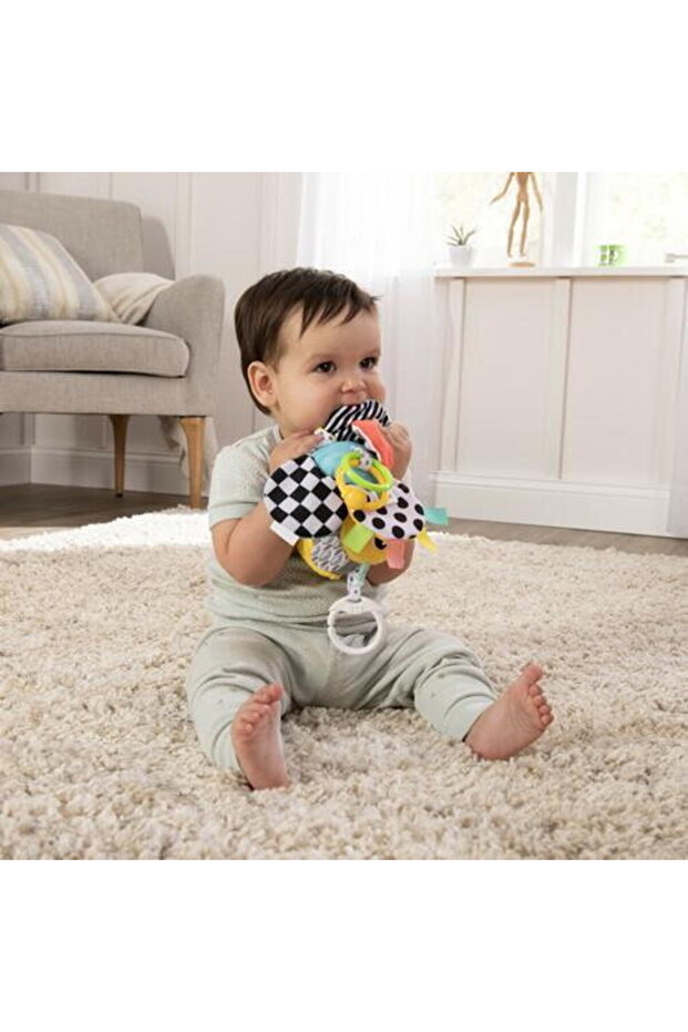 LAMAZE-ALBINUTA BUZZY - 4