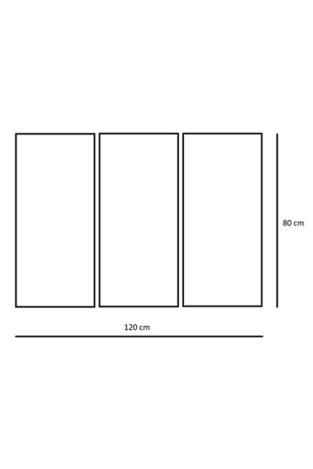 Tablou Canvas Albert Einstein | 3 Piese - 3