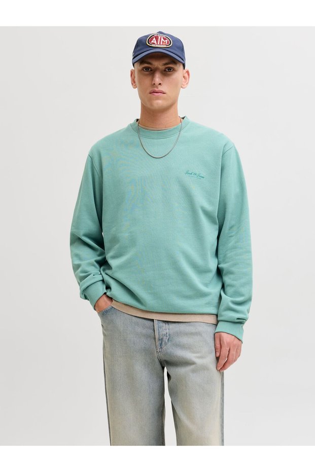 Sweatshirt Sweatshirt