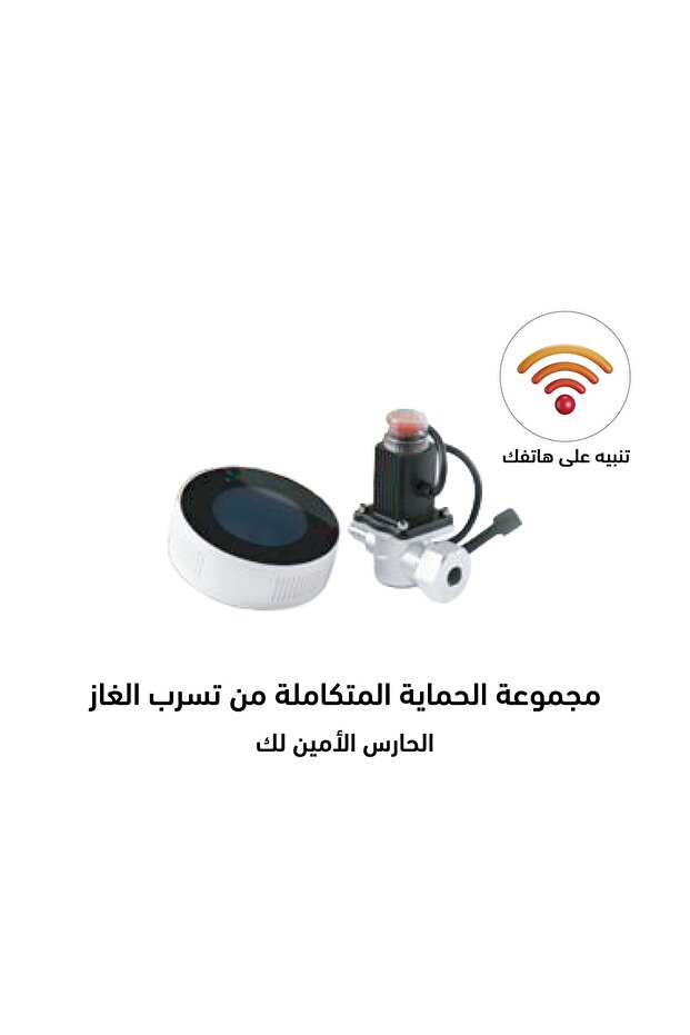 مجموعة الحماية المتكاملة من تسرب الغاز مع الأغلاق الذاتي - 1