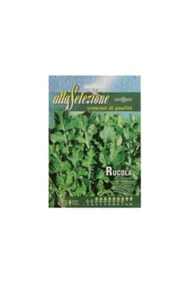 Rocket Seeds - 3