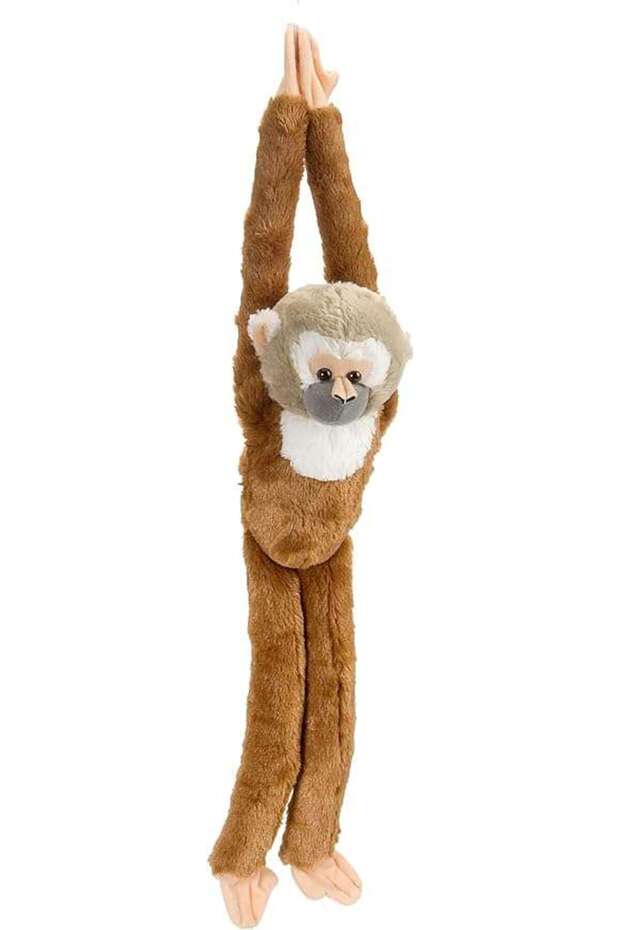 The Clinging Monkey The Squirrel Monkey - 1