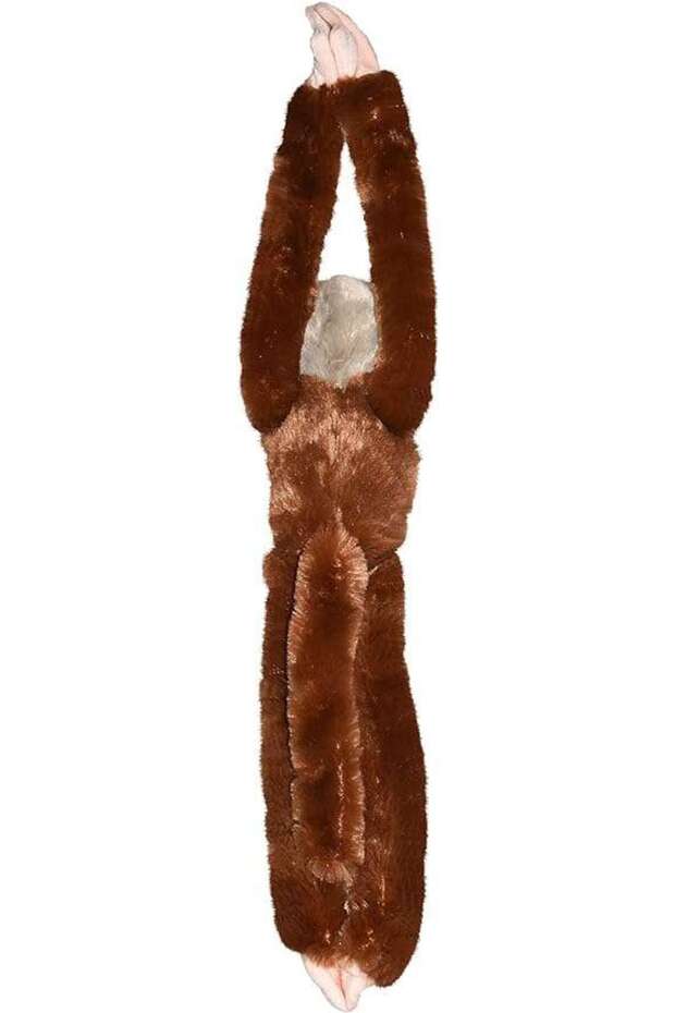 The Clinging Monkey The Squirrel Monkey - 3