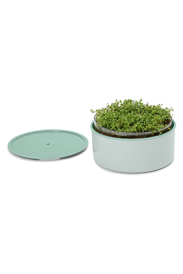 Bitki Yetiştirme Seti, “Microgreens” - 2