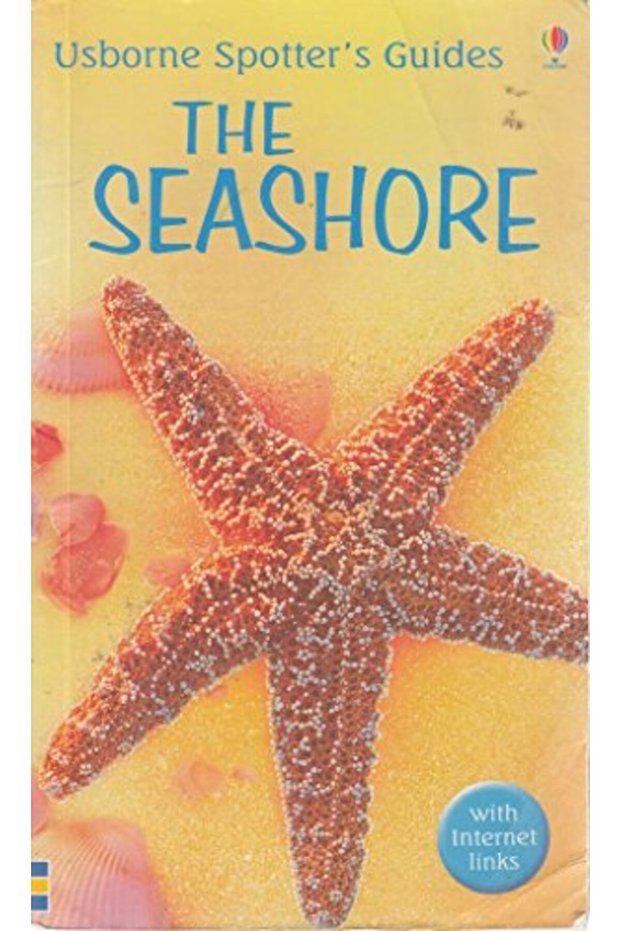 The Seashore