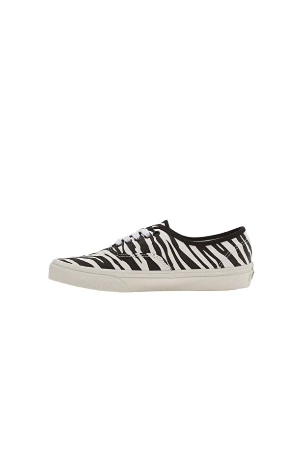 Authentic Zebra - 3