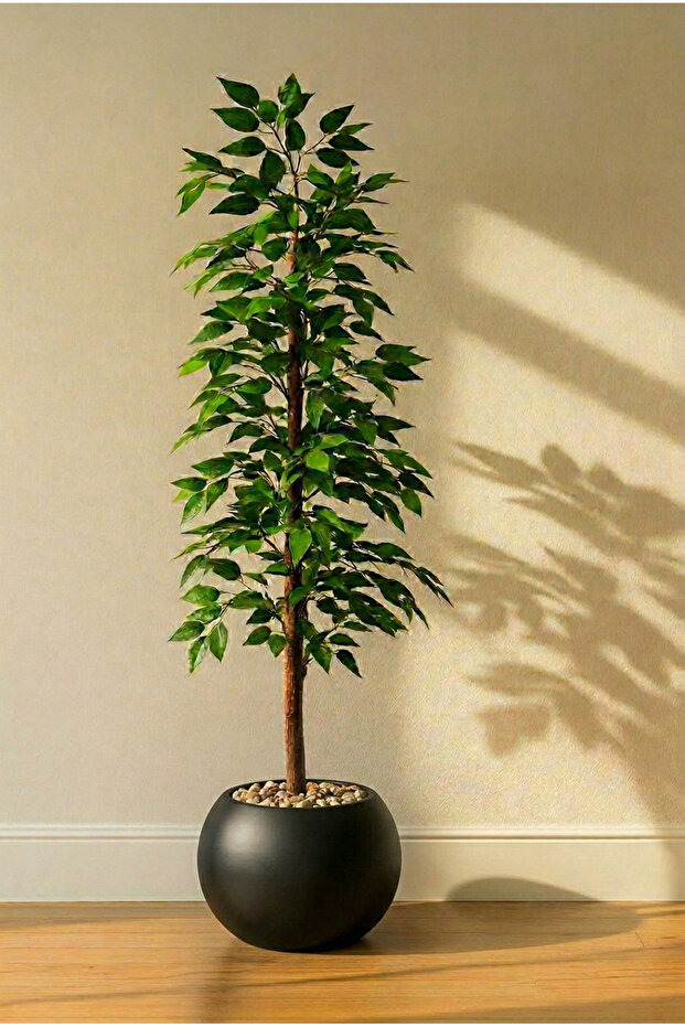 شجرة ورق فيكس صناعية 155 سم - 1