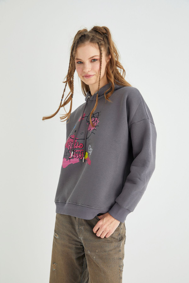 Lisanslı Baskılı Kapüşonlu Sweatshirt - 5