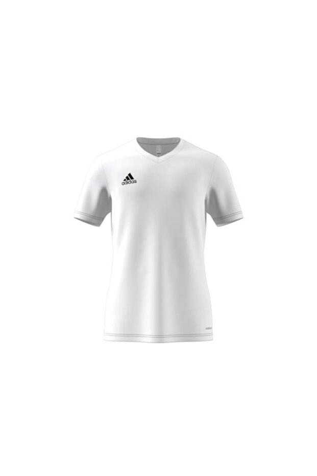 Entrada 22 Forma - 7