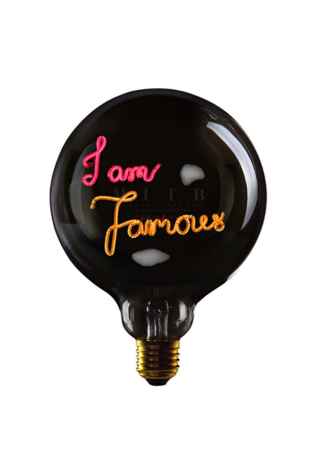 I AM FAMOUS - LED GLASS BULB - Ø70 × H110 MM