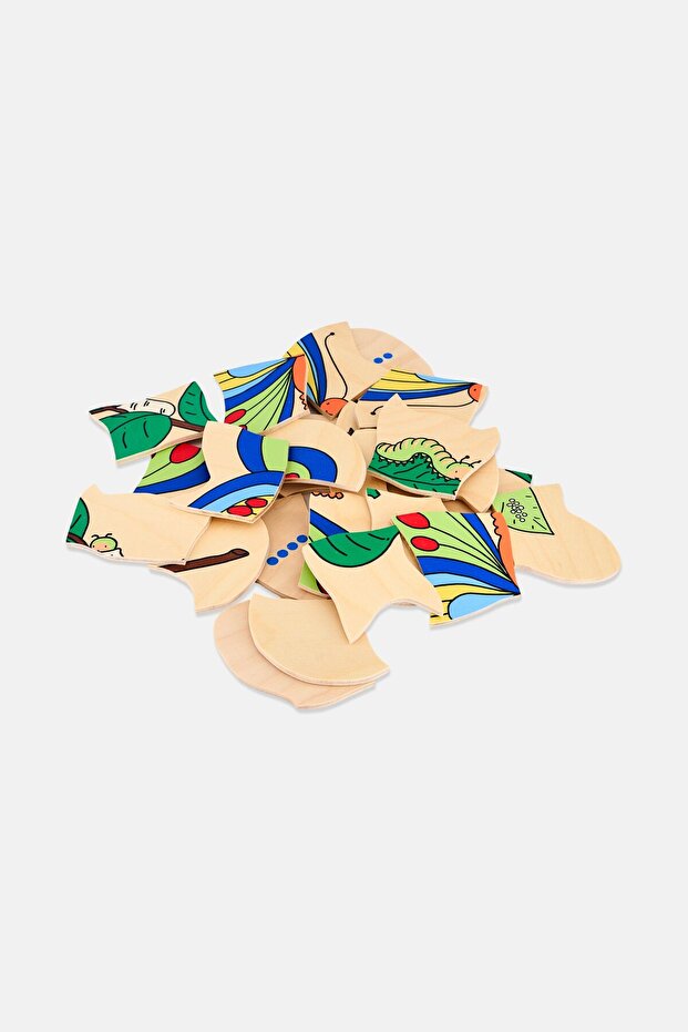 لغز الفراشة المتسلسل - 2