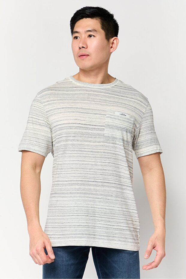 Men Crew Neck Short Sleeve Stripe T-Shirt, Grey