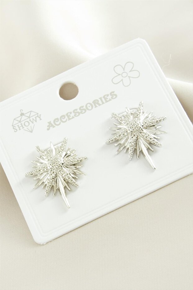 Star Metal Earrings