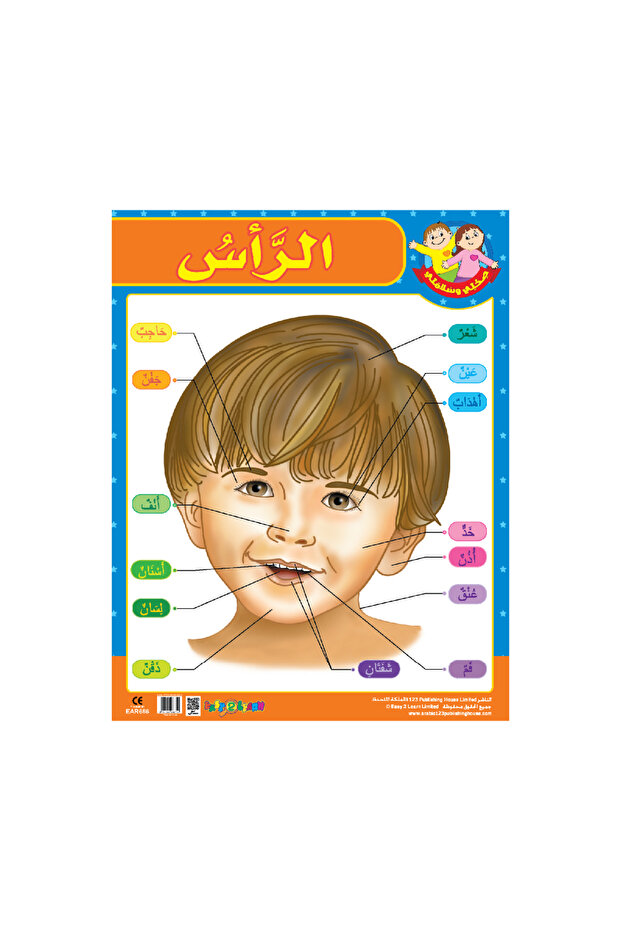 The Head - Wall Chart in Arabic