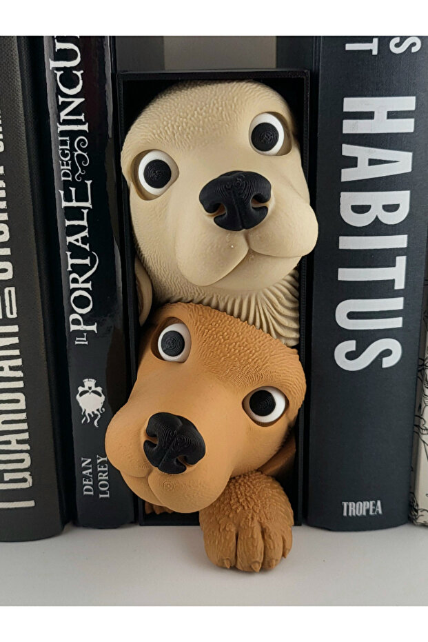 Book Holder - Bookshelf Organizer - Bookshelf Ornament