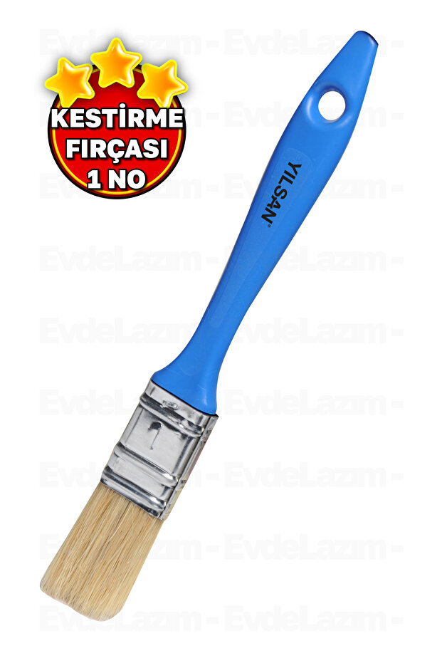 Scraping Brush Paint Brush Plastic Strappy Scraping Brush (1 No)