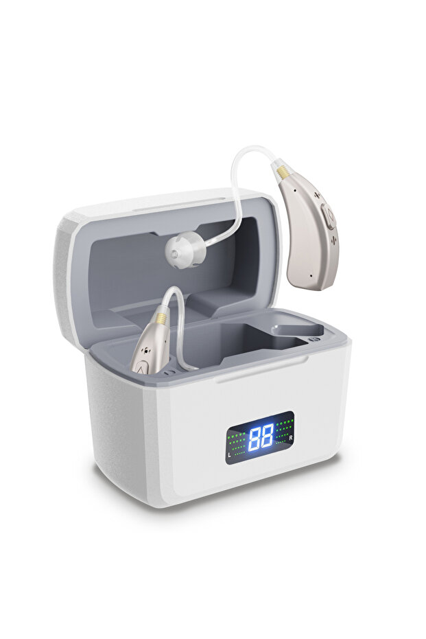 Silver Hearing Aids for Seniors with Hearing Loss,16 Channel Rechargeable Hearing Amplifiers with No