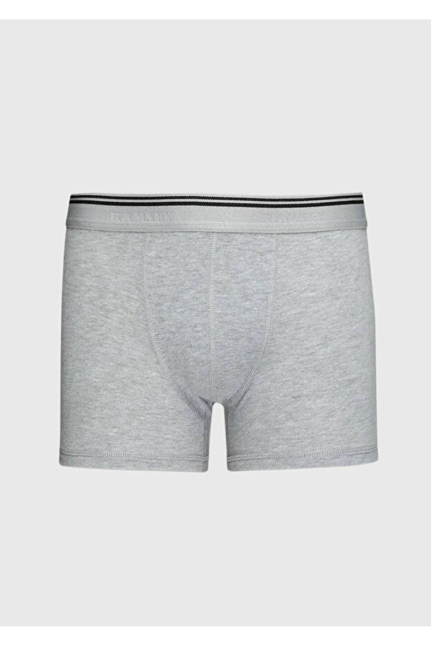 الملاكم الرمادي - 1