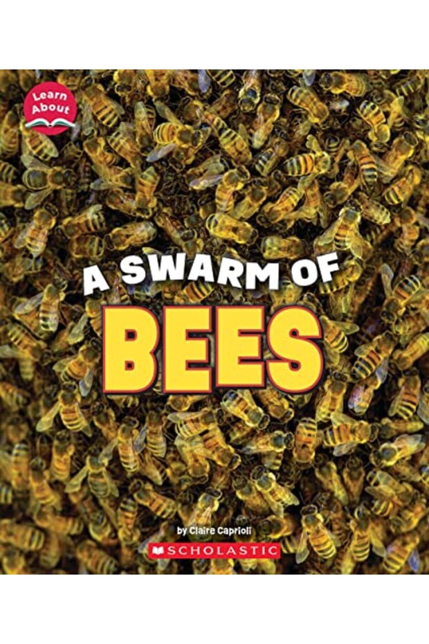 A Swarm Of Bees (Learn About: Animals)