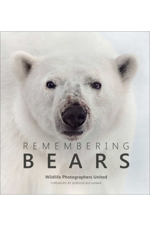 Remembering Bears - 1
