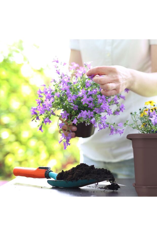 Flowerpot Stand 60cm Rectangular Plastic Tray Brown - 4