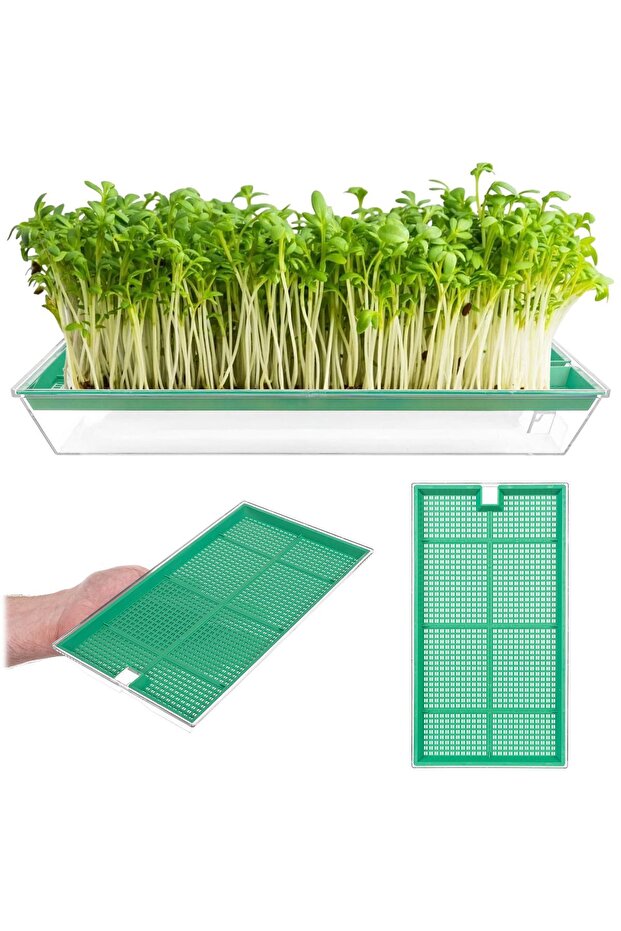 Cress Sprouting Machine Large Sprouting Container - 2