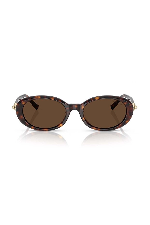 Co. TF 4242D 80153G 54 Kadın Oval Kırçıllı Kahverengi Kemik Güneş Gözlüğü - 2