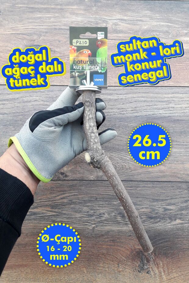 Venty Natural Parrot Branch Perch | Sultan, Monk, Lori, Konur, Senegal, Sevda, Forpus - P210