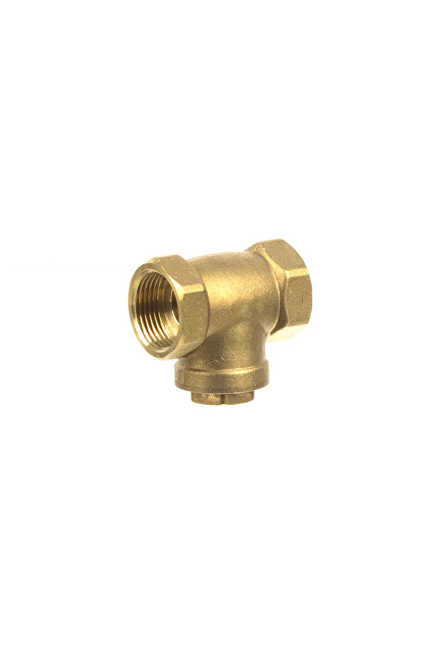Check valve, brass, internal thread, 3/4' connection - 1