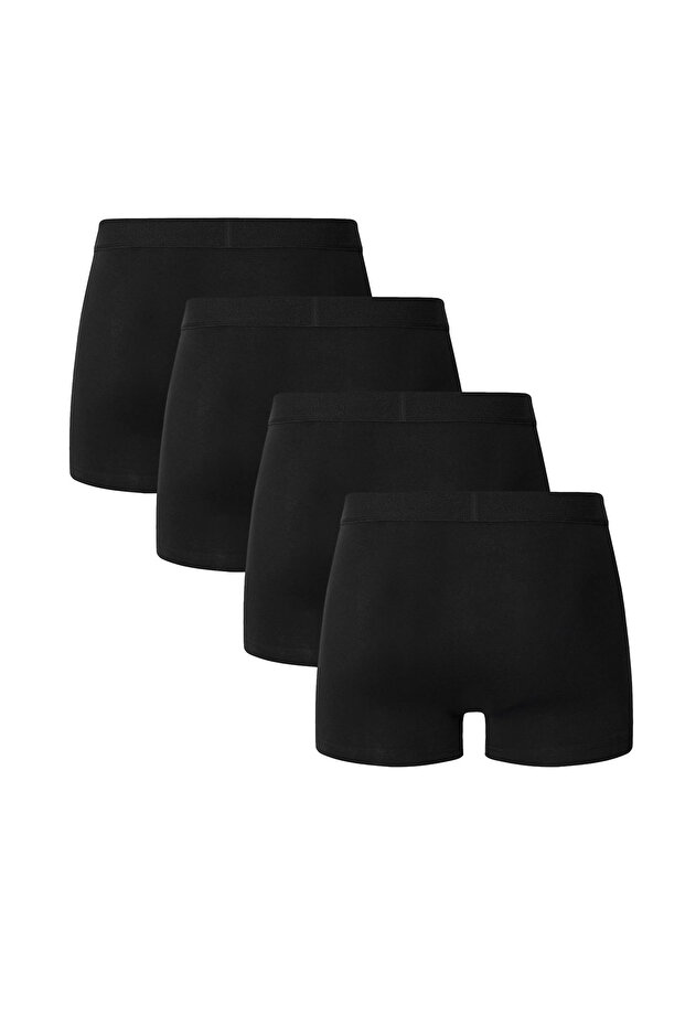 Boxer Basic - 2