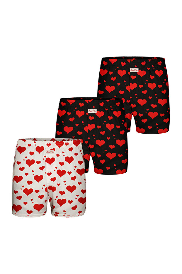 Boxer Valentinstag - 4