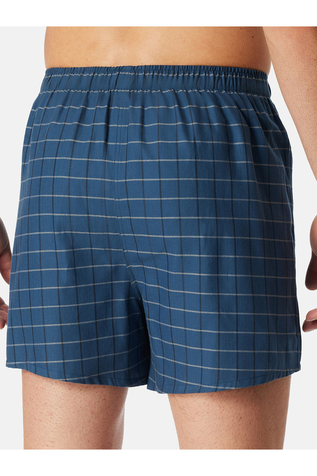 Boxer Web - 2