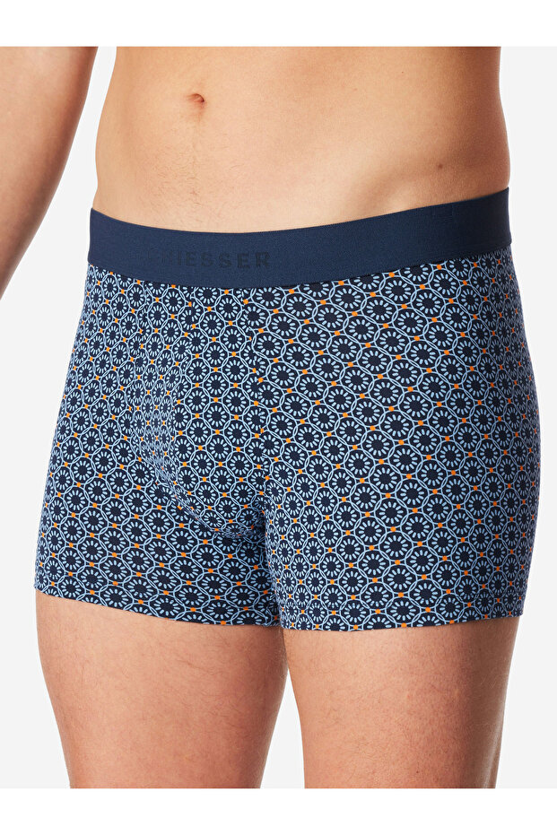 Trunk 955 - 3