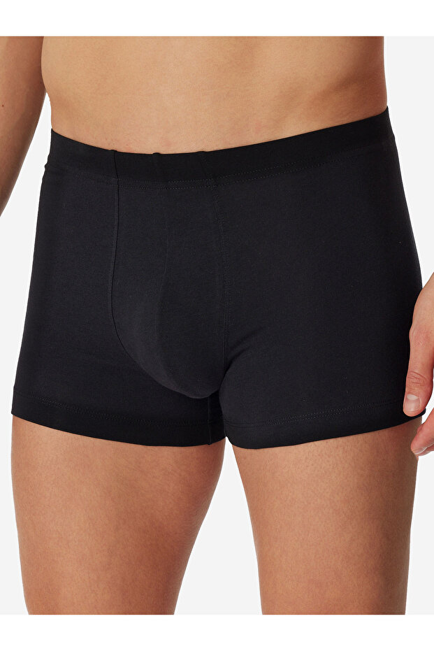 Trunk 955 - 5