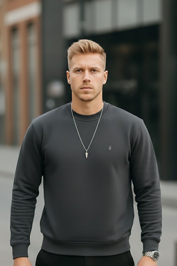 Füme Renk Basic Bisiklet Yaka Relaxed Regular Erkek Sweatshirt - 5