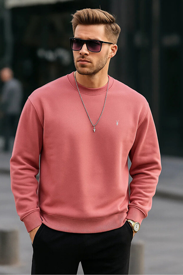 Candy Pink Color Basic Crew Neck Relaxed Regular Men's Sweatshirt
