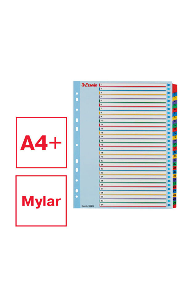 Index A4 Maxi 1-31 reinscriptibil - 7