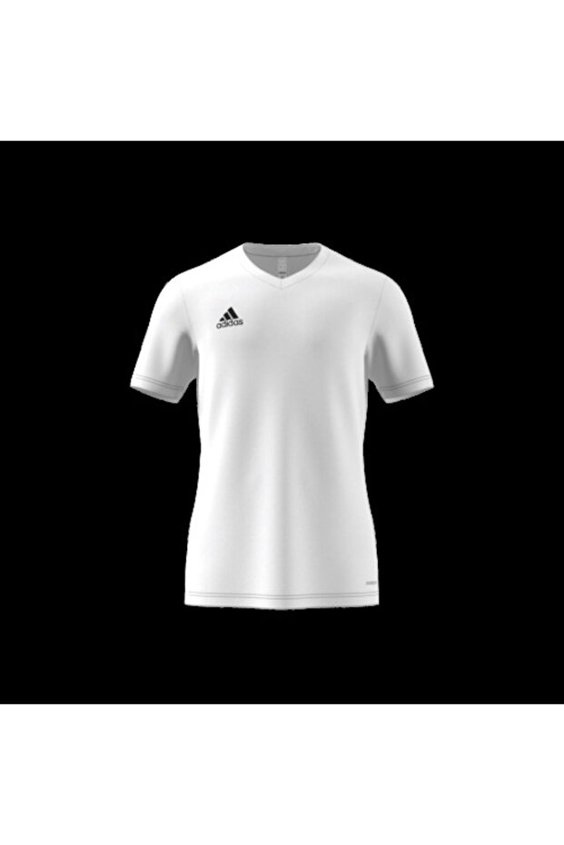 Entrada 22 Forma - 8