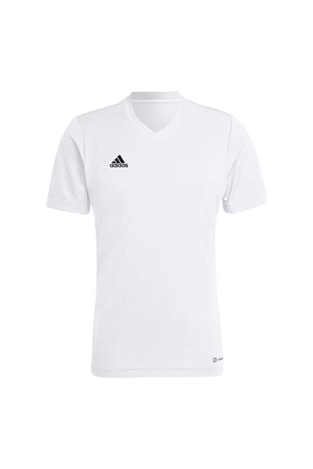 Entrada 22 Forma - 3