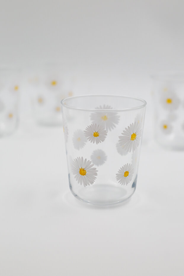 Fiona 4'lü Su Bardağı Seti 315 cc - 2