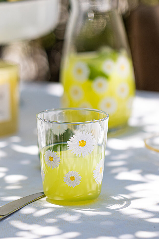 Fiona 4'lü Su Bardağı Seti 315 cc - 1