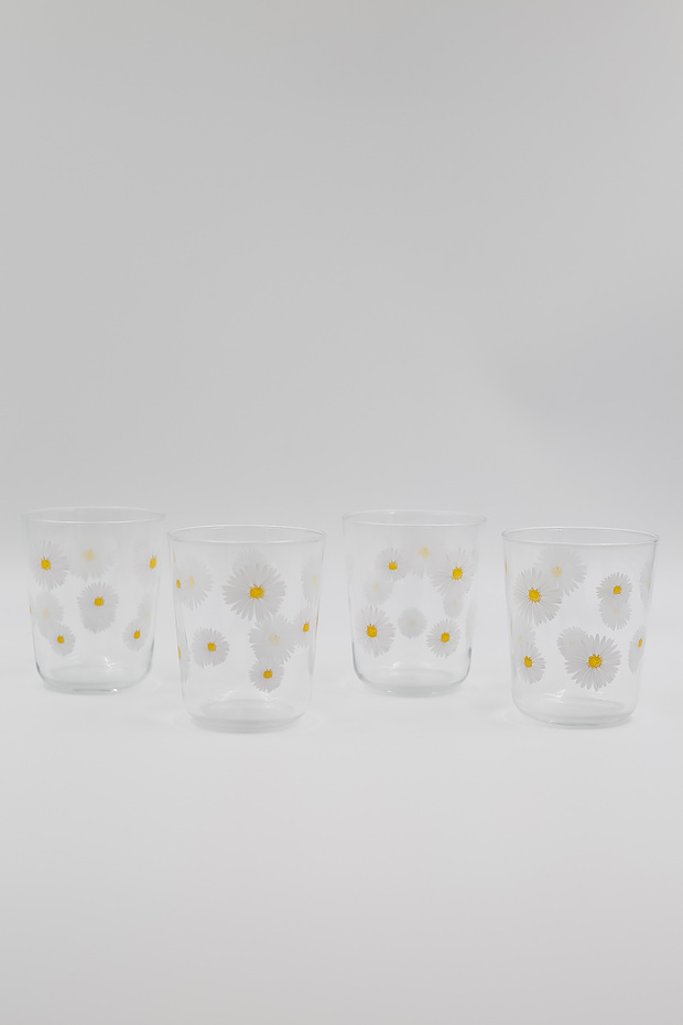 Fiona 4'lü Su Bardağı Seti 315 cc - 4