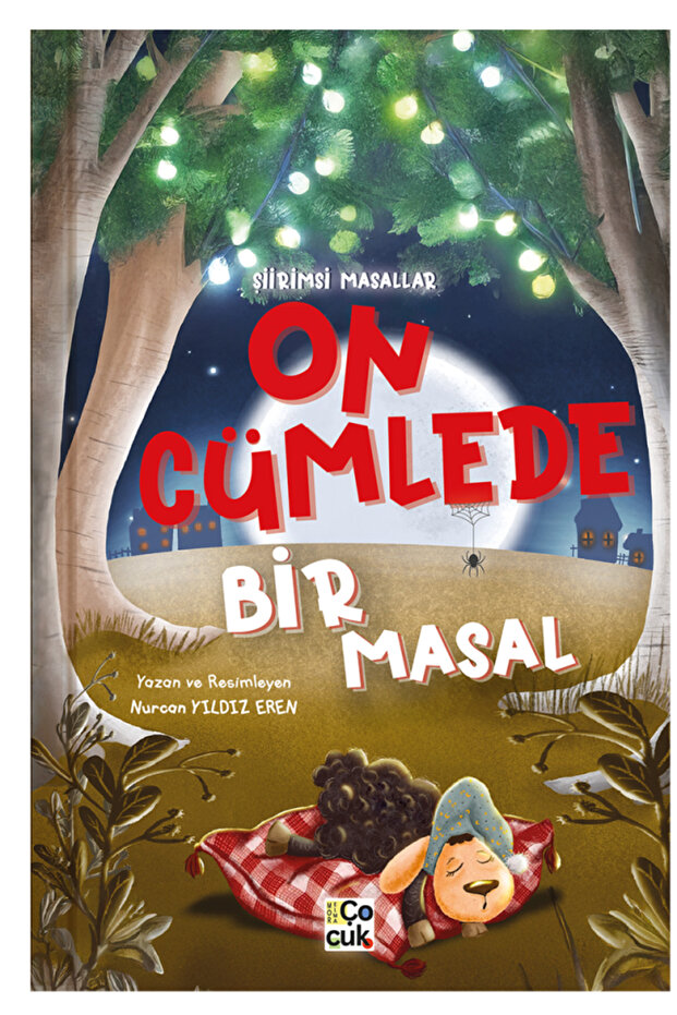 ON CÜMLEDE BİR MASAL