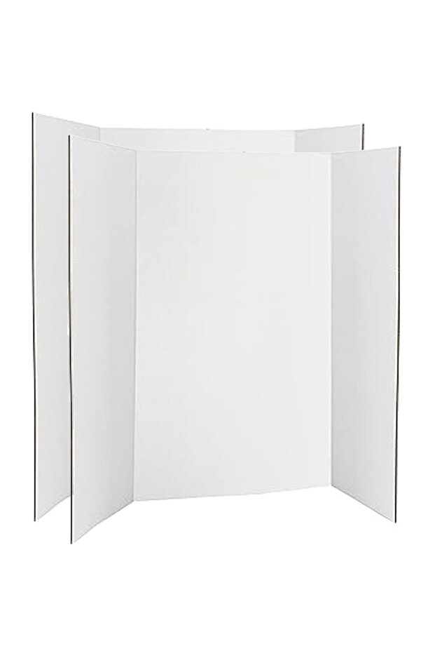 Trifold Presentation Board for School Projects - 1