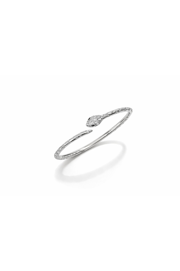 سوار الثعبان الصلب